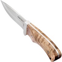 Couteau Wurzelholz avec manche en bois de ronce, Parforce
