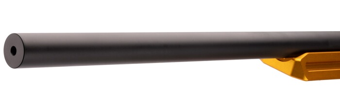 Carabine de TLD/TMD Oblivion TR, Sabatti