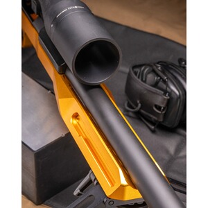 Carabine de TLD/TMD Oblivion TR, Sabatti