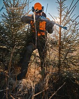 Veste Thorn Resistant, Pinewood