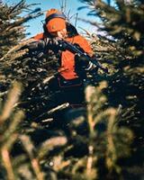 Veste Thorn Resistant, Pinewood
