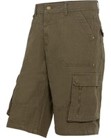 Short cargo Franz, Parforce