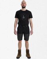 Short Strike, Deerhunter
