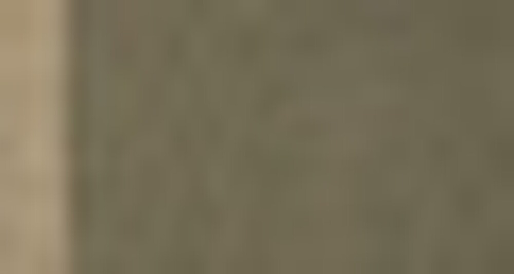 Chemise de chasse Rhön, Parforce Active