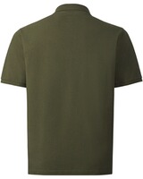 Polo organic, Merkel Gear