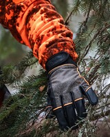 Gants Furudal Thorn, Pinewood