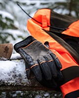 Gants Furudal Thorn, Pinewood