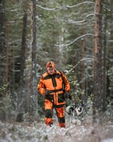 Gants Furudal Thorn, Pinewood