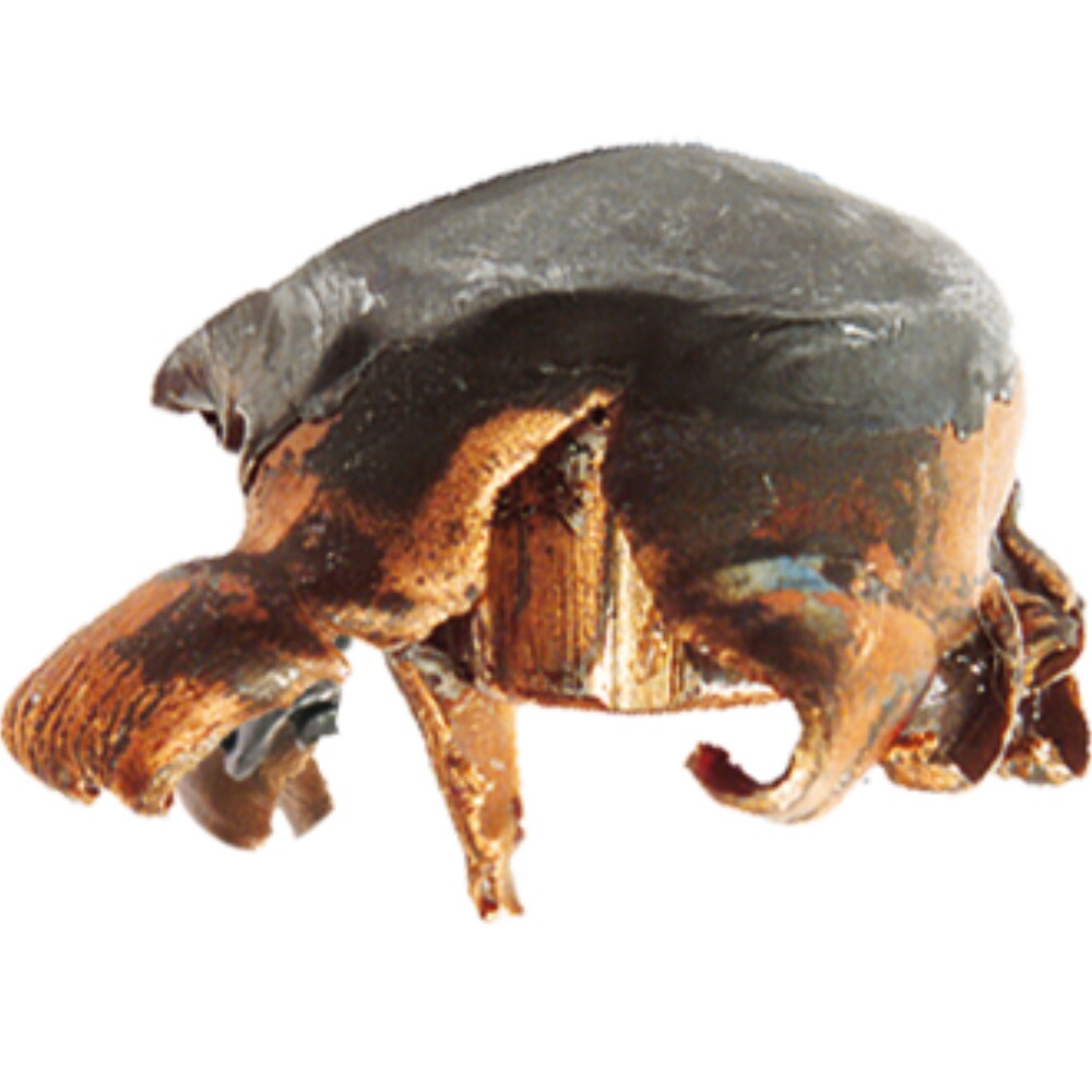 .270 Win. KS 9,7g/150grs., RWS