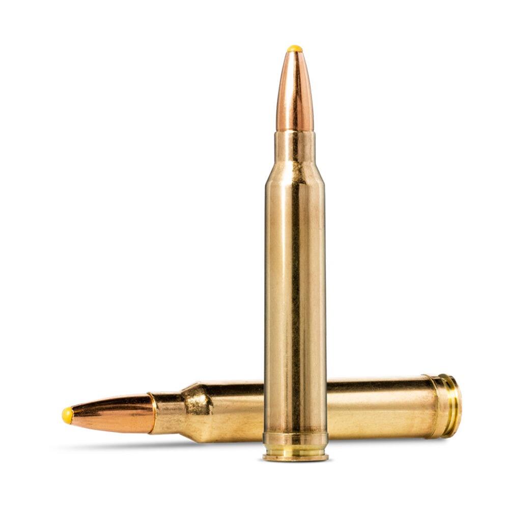 .300 Win. Mag. Plastic Point 11,7g/180grs