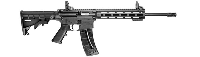 Carabine semi-automatique MP15 Sport, Smith & Wesson