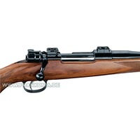 Montage pivotant avec rail Convex, EAW