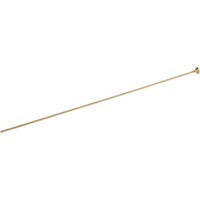 Entonnoir à poudre, Davide Pedersoli