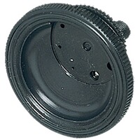 Pavillon à iris, Davide Pedersoli