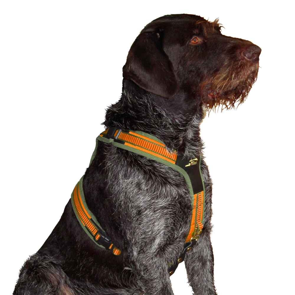 Niggeloh Harnais pour chien (XS orange) - Colliers & harnais - Accessoires  pour chien - Equipements - boutique en ligne 