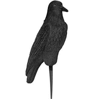Appelant corbeau floqué 42cm