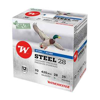 12/70 Steel 28 Pression Standard, Winchester